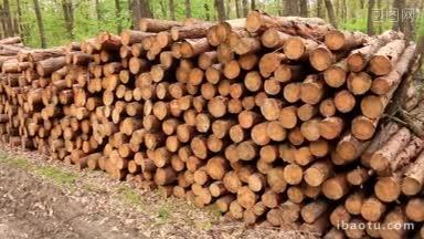 森林道路上的一大堆<strong>木头</strong>